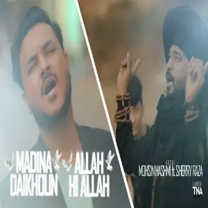 Madina Daikhoun (Allah Hi Allah) image