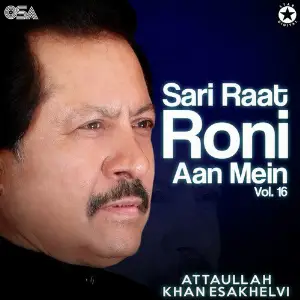 Sari Raat Roni Aan Mein, Vol. 16 image