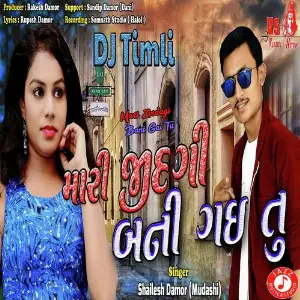 Tu Mane Bhuli Jay Shailesh Damor