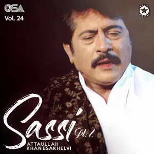 Sassi Pt. 2, Vol. 24 image