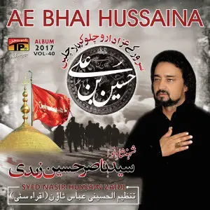 Ae Bhai Hussaina, Vol. 40 image