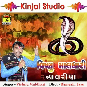 Vishanu Maldhari Halariya image