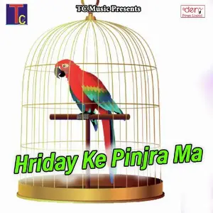 Hriday Ke Pinjra Ma image