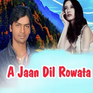 A Jaan Dil Rowata image