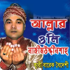 Allahr Oli Nizamuddin Shah image
