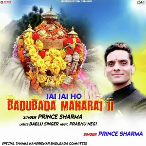 Jai Jai Ho Badubada Maharaj Ji image