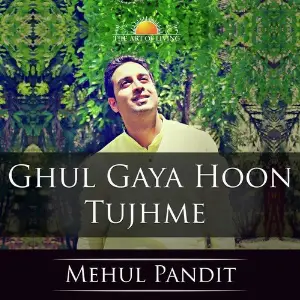 Navgrah Mantras Mehul Pandit