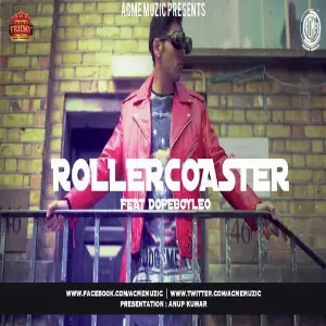 Roller Coaster image