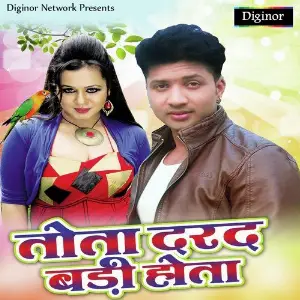 Tota Dard Bari Hota image