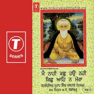 Main Naahi Kachh Haun Nahi Kic (Vol. 5) image