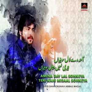 Amina Day Lal Sohneya Teri Nahi Misal Sohneya image