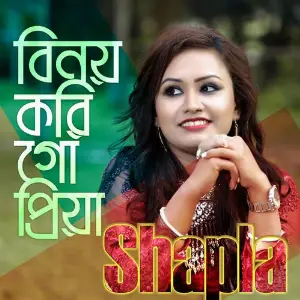 Binoy Korigo image