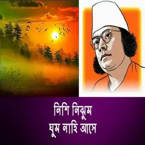Nishi Nijum Ghum Nahi Ase image