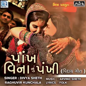 Pankh Vina Nu Pankhi image