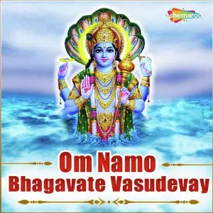 Om Namo Bhagavate Vasudevay image