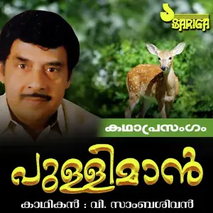 Pulliman image