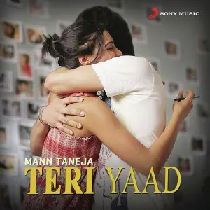 Teri Yaad image