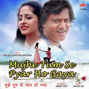 Mujhe Tumse Pyar Ho Gaya 