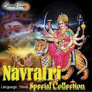 Navratri Special Collection image