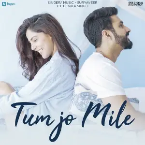 Tum Jo Mile image