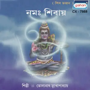 Namah Shivay image