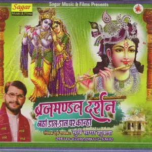 Brijmandal Darshan image