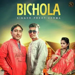 Bichola image