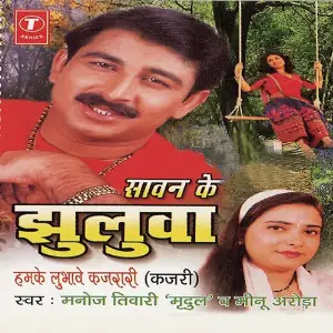 Saawan Ke Jhoolwa image
