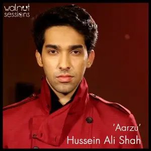 Aarzu image