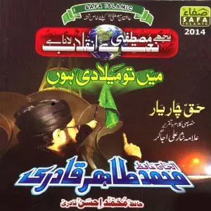 Main To Meeladi Hun image