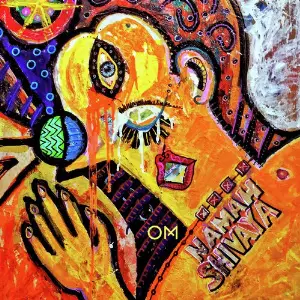 Om Namah Shivaya image
