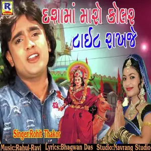 Dashama Maro Kolar Tight Rakhje image