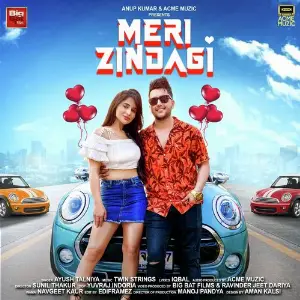 Meri Zindagi image