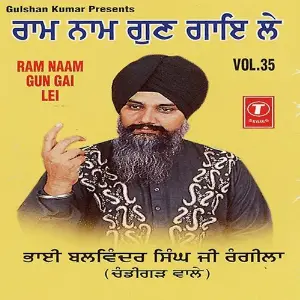 Ram Naam Gun Gai Le (Vol. 35) image