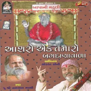 Ashro Ek Tamaro Bagdanavada image