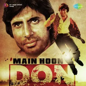 Main Hoon Don image