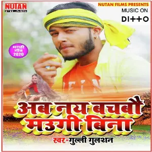 Ab Naye Bachabau Maugi Bina image