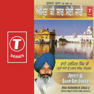 Amrit Ki Saar Soi Jaane image