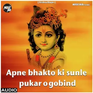 Apne bhakto ki sunle pukar o gobind image