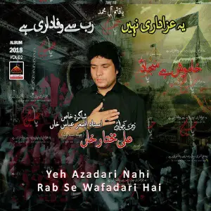 Yeh Azadari Nahi Rab Se Wafadari Hai image