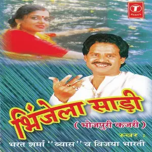 Bheenjela Saari image