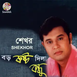 Boro Kosto Dila image