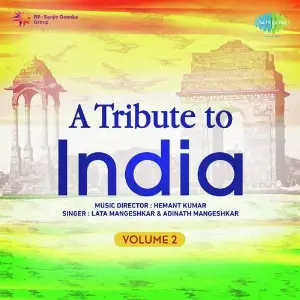 A Tribute To India Vol. 2 image