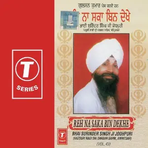 Reh Na Saka Bin Dekhe (Vol. 43) image