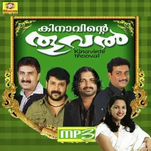 Kinavinte Thooval image