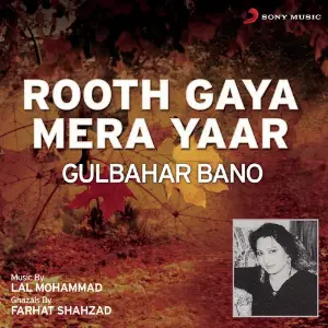 Rooth Gaya Mera Yaar image