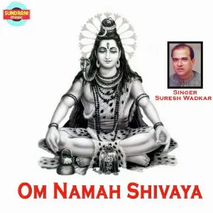 Om Namah Shivaya image