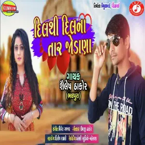 Dil Thi Dil Na Taar Jodya image