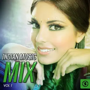 Indian Music Mix, Vol. 1 image