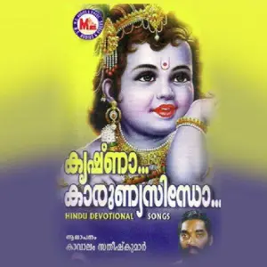 Krishna Karunnya Sindho image